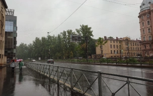 "Водоканал" назвал самые пострадавшие от ливня районы Петербурга
