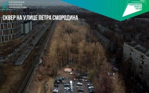 В Красногвардейском и Приморском районах благоустроят два сквера