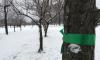 Активисты обвязали деревья в парке Сахарова зелеными ленточками
