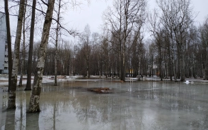 В Ленобласти 21 марта ожидается до +7 градусов и дождь