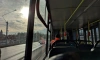 Автобус № 394 соединит Ростовскую улицу с Царским Селом