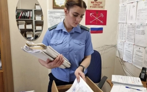 За полгода в Петербурге возбудили более 500 уголовных дел  отношении должников по алиментам