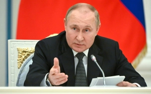 В Петербурге может пройти встреча Путина и гендиректора МАГАТЭ