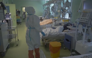 Количество пневмоний на фоне коронавируса в Петербурге выросло на 40%