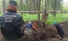 Останки 11 человек нашли в парке "Сильвия" в Гатчине