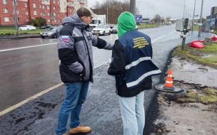 Почти 300 профилактических визитов  провели инспекторы ГАТИ в агротехническом периоде 2024 года