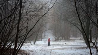 Похолодание, гололедица и сильный ветер прогнозируются в Петербурге 18 февраля