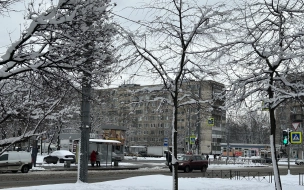 В Петербурге 25 декабря пройдёт небольшой снег