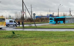 В Петербурге мужчина погиб после нападения на пассажирский автобус с ножами и молотком