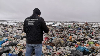 В Ленобласти возбуждено уголовное дело по факту найденного на полигоне тела младенца