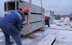 В этом году Биржа труда в Ленобласти трудоустроила более 11 тысяч человек