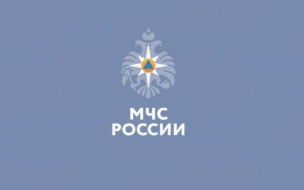 Приложение МЧС поможет жителям Ленобласти узнать о чрезвычайных ситуациях