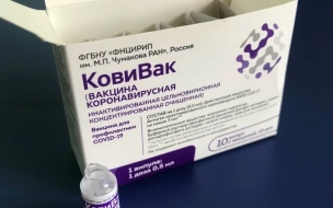 За минувшие сутки более 4,9 тыс. петербуржцев привились от коронавируса