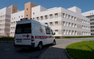 Возбуждено уголовное дело после гибели девочки под колёсами каршеринга на Ирининском проспекте