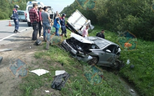 В Тосненском районе двое человек пострадали в ДТП на ЮПК