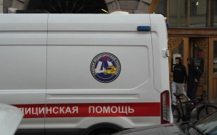 В пожаре на Римского-Корсакова отравился угарным газом житель дома