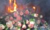 В Петербурге сожгли 400 заражённых трипсом гвоздик 