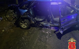 В Волхове пьяный водитель въехал в дерево. Погиб 21-летний пассажир