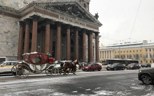 Петербург 10 января находится в ожидании тёплого фронта