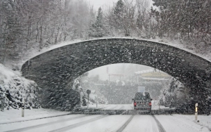 МЧС предупреждает жителей Ленобласти об усилении снега и ветра