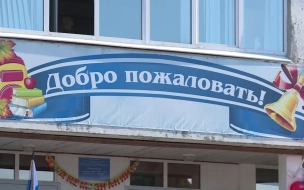 Ко Дню знаний в Петербурге откроют 22 школы