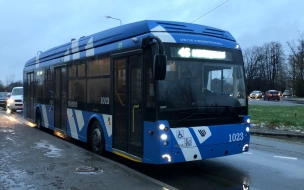 Прокуратура Петербурга поддержала государственное обвинение в отношении хулигана в троллейбусе