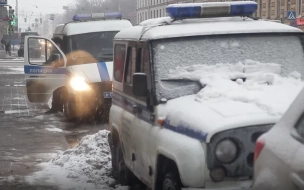 Полицейские из Петербурга в ходе служебной командировки в Новосибирск задержали подозреваемую в сбыте наркотиков
