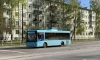 Четыре автобусных маршрута будут работать в ночь с 20 на 21 мая в Петербурге