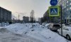 Урбанист Стив Каддинс оценил развитие инфраструктуры для велосипедистов в Петербурге