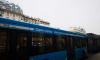 В Петербурге запустили 23 дополнительных автобуса на востребованные маршруты