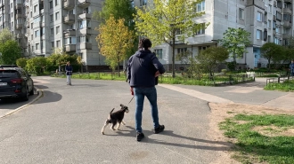 В первой декаде сентября в Петербурге солнце светило свыше 100 часов