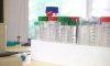 Врач-эпидемиолог напомнила петербуржцам о важности вакцинации от гриппа