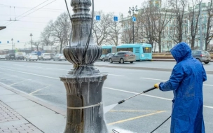 Во время месячника благоустройства удалось очистить более 1,3 тыс. петербургских улиц 