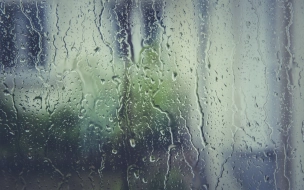 Дожди и грозы ожидаются в Ленобласти 16 мая