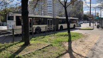 В Петербурге переименуют две остановки общественного транспорта