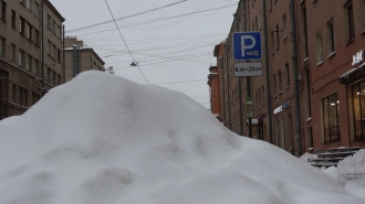 Петербург обновил снежный максимум с начала зимы