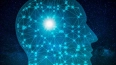 FT: OpenAI вложится в разработку мозговых чипов в ...