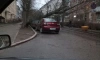 В Калининграде циклон повалил десятки деревьев и повредил автомобили