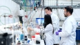 Для молодых петербургских ученых создадут шесть лаборато...