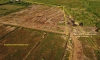 Администрация Ленобласти останавливает стройку на месте захоронения в поселке Тельмана
