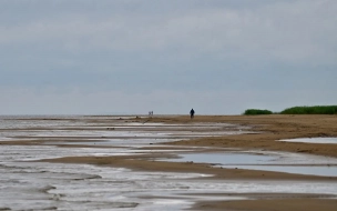 Дрозденко прокомментировал снижение уровня воды в Ладожском озере