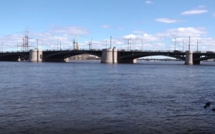 Рабочие спасли девушку, упавшую в Неву у Биржевого моста