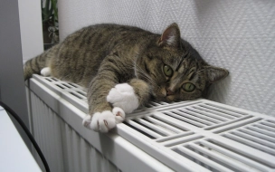 Петербуржцы могут пожаловаться на проблемы с отоплением дистанционно