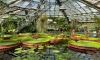В Ботаническом саду открывается Водная оранжерея