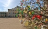 В Павловском парке украсили пасхальными яйцами дерево на парадном плацу
