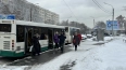 С 15 марта в Петербурге усилили движение автобусов ...