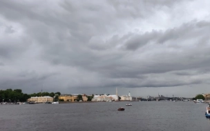 Из-за сильного ветра в Петербурге объявлен "жёлтый" уровень погодной опасности