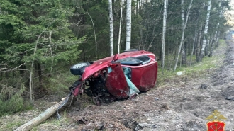 18-летний водитель погиб в аварии с грузовиком в Ленобласти