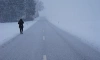 В Ленобласти 30 декабря пройдёт мокрый снег