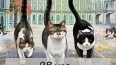 В Петербурге 28 мая отмечают День эрмитажного кота